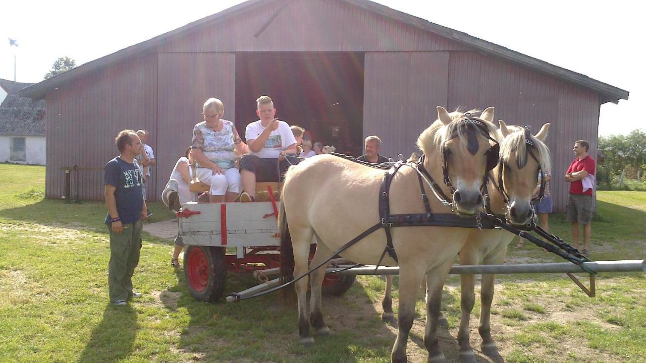 Bindesbolgard Farm Holiday Give Exteriér fotografie